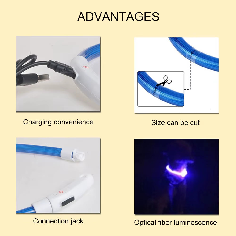 LED USB Rechargeable Glow-in-the-Dark Dog Collar - Ultimate Night Safety Accessory for Your Pet