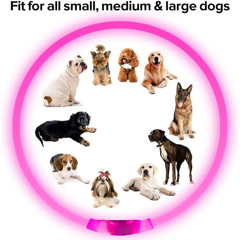 LED USB Rechargeable Glow-in-the-Dark Dog Collar - Ultimate Night Safety Accessory for Your Pet