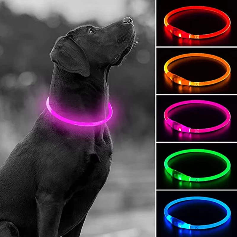 LED USB Rechargeable Glow-in-the-Dark Dog Collar - Ultimate Night Safety Accessory for Your Pet