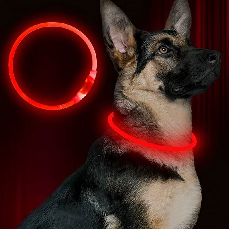 LED USB Rechargeable Glow-in-the-Dark Dog Collar - Ultimate Night Safety Accessory for Your Pet