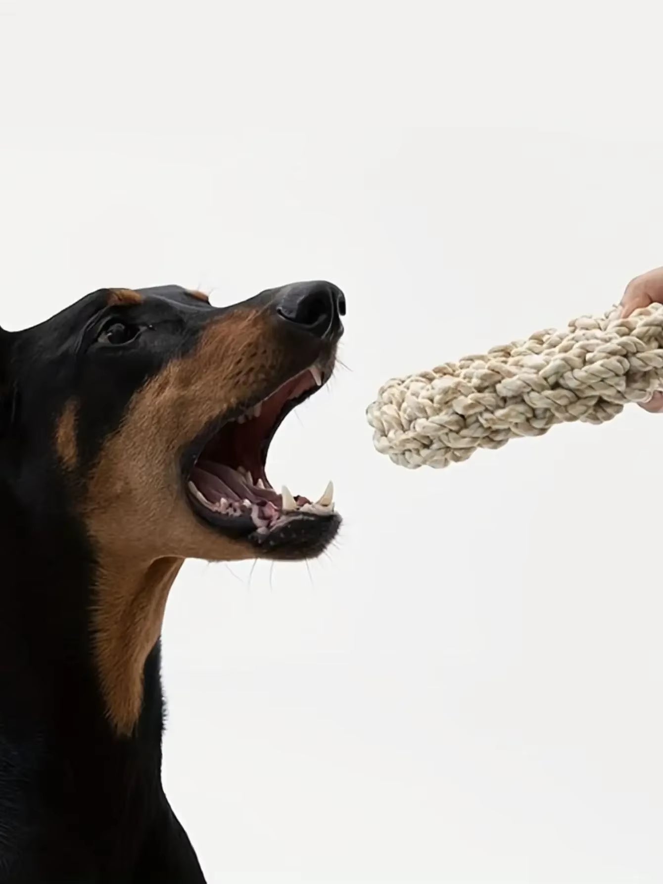 Durable Pet Dog Rope Toy – Chew-Resistant Playtime for Medium to Large Breeds, Perfect for Golden Retrievers, Pitbulls, and Labradors