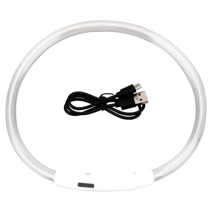 LED USB Rechargeable Glow-in-the-Dark Dog Collar - Ultimate Night Safety Accessory for Your Pet