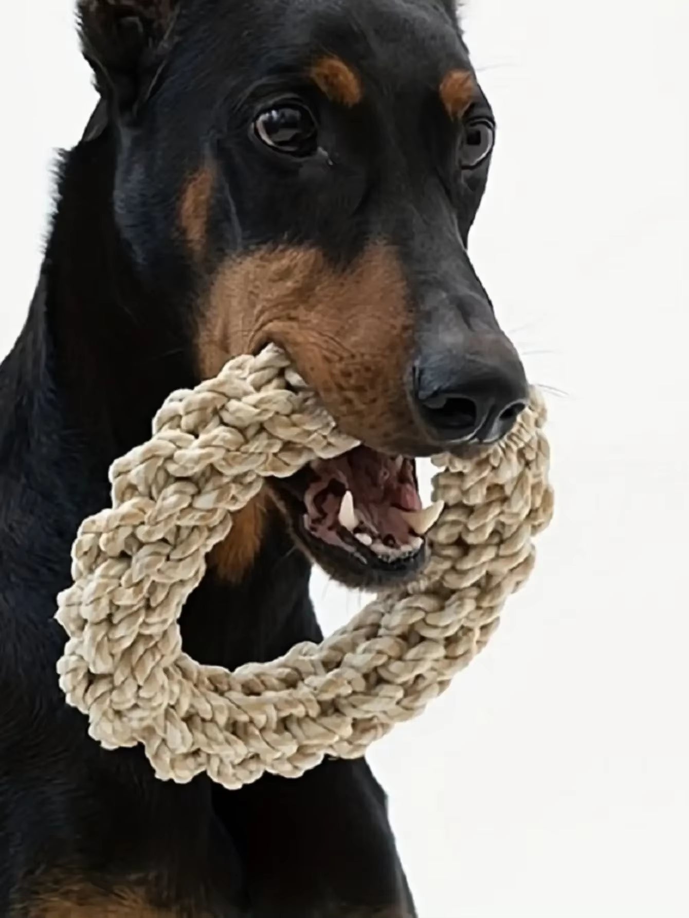 Durable Pet Dog Rope Toy – Chew-Resistant Playtime for Medium to Large Breeds, Perfect for Golden Retrievers, Pitbulls, and Labradors